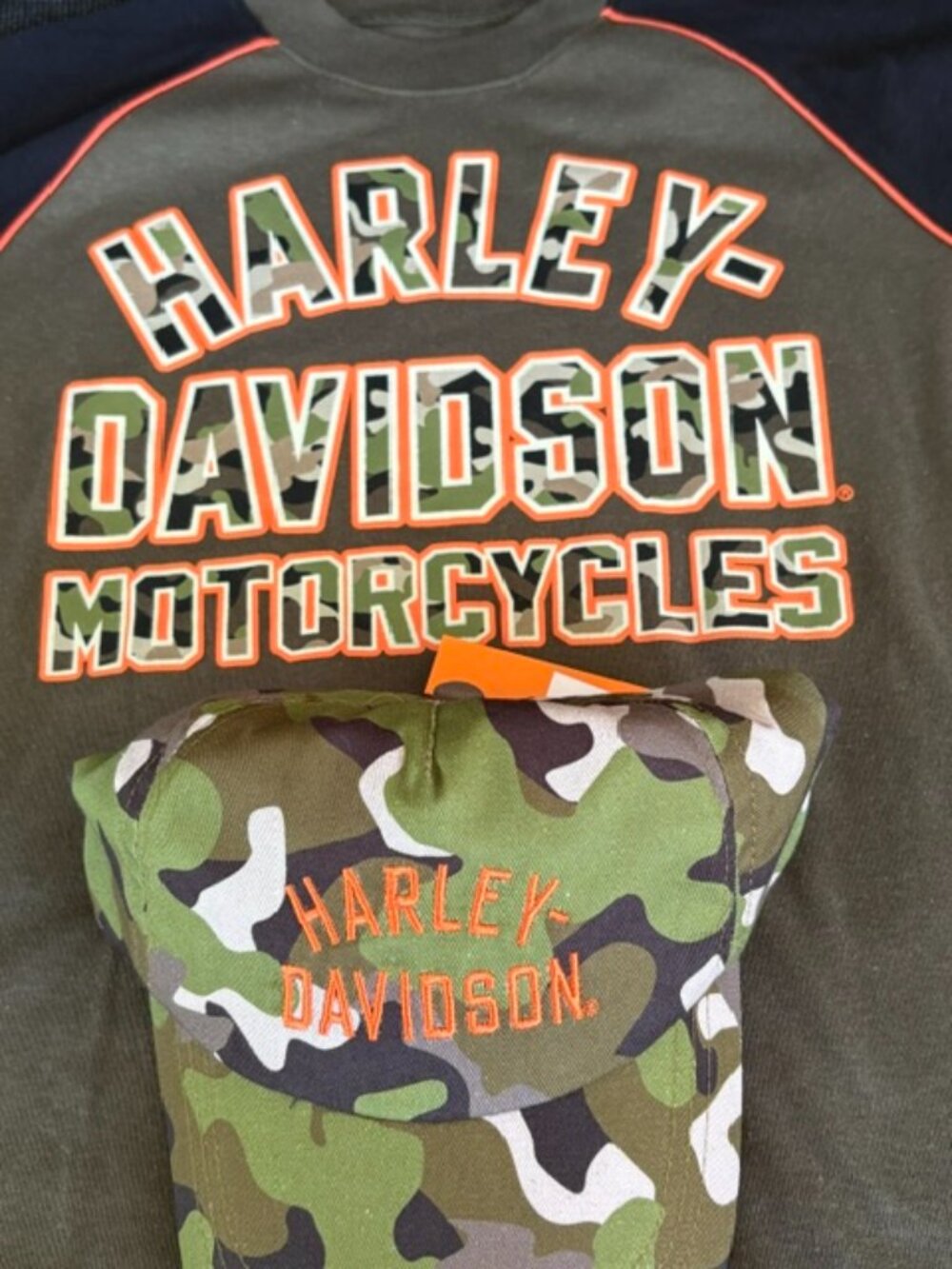HARLEY DAVIDSON BALLCAP AND T-SHIRT